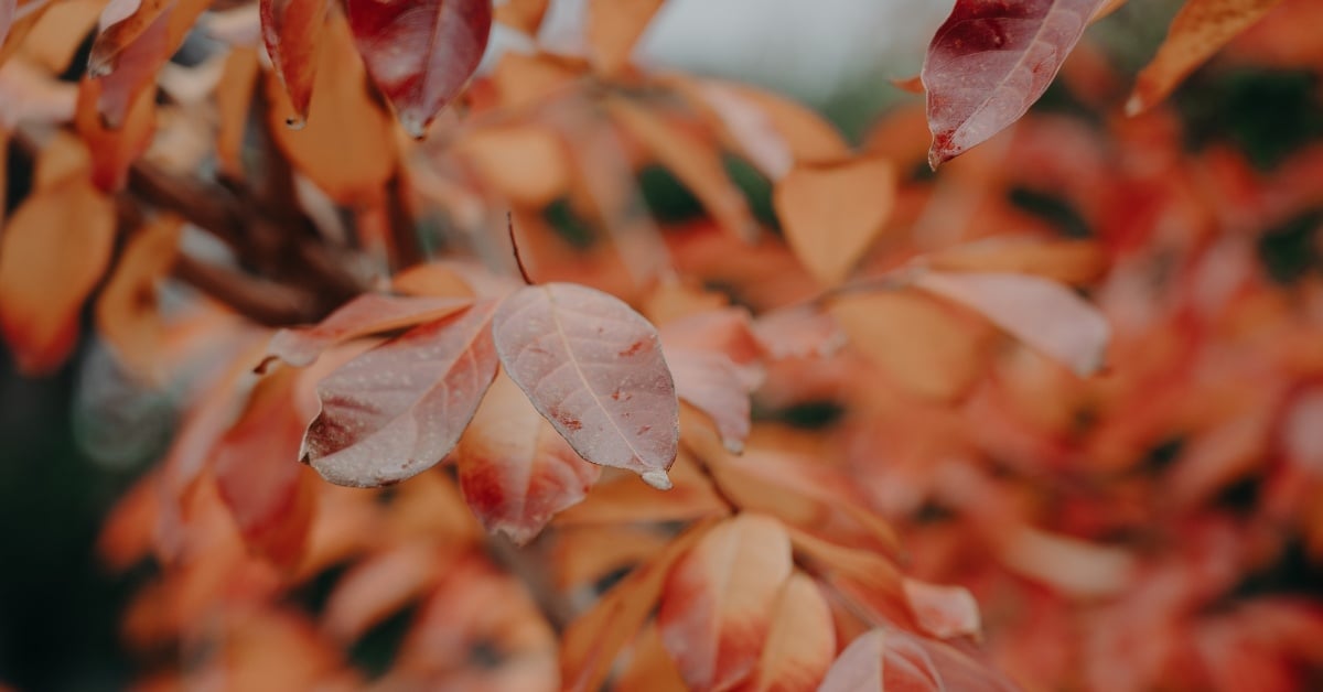 Lithgow S Real Estate Agent Lj Hooker Lithgow